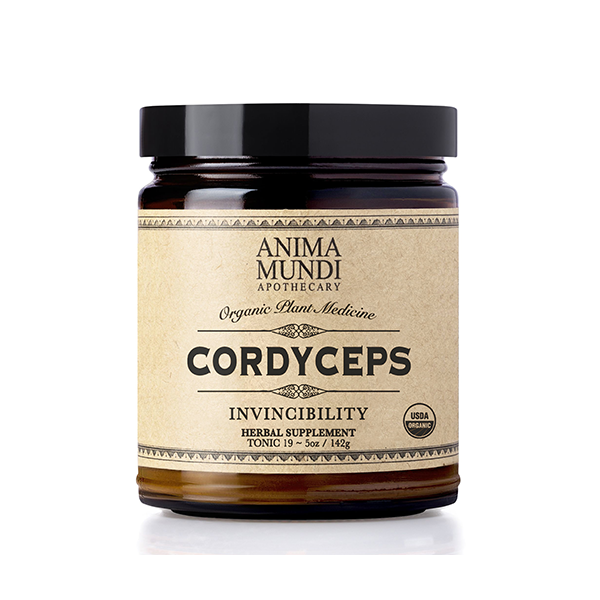 Cordyceps