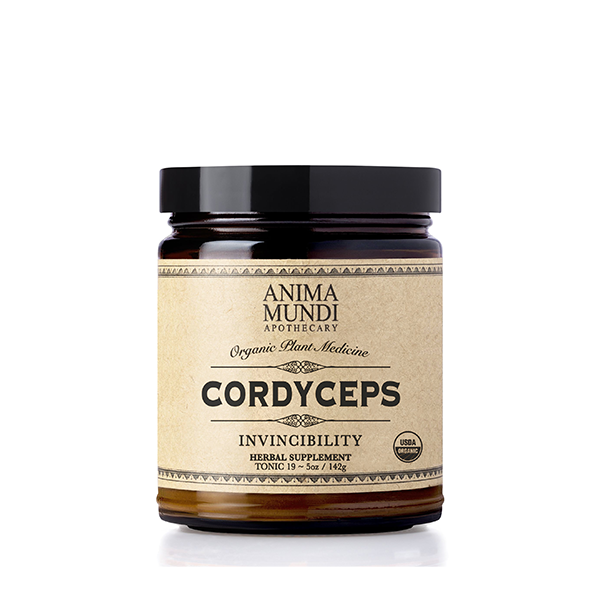 Cordyceps