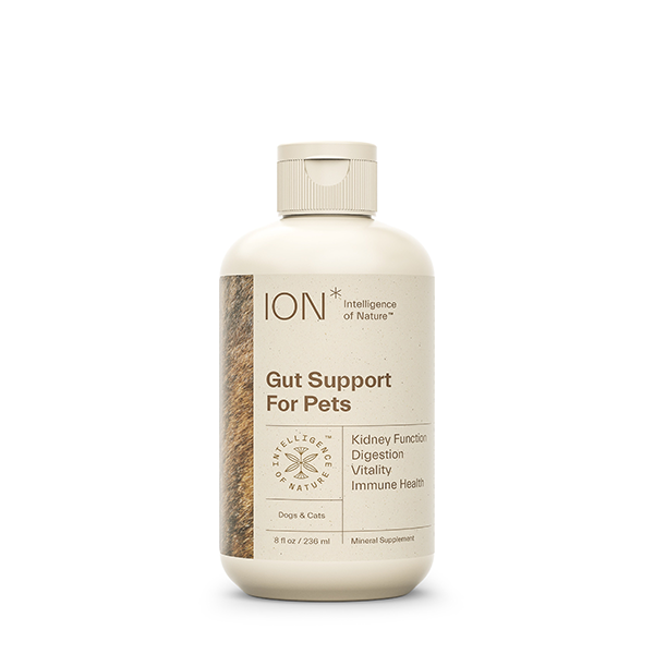 Gut Support For Pets