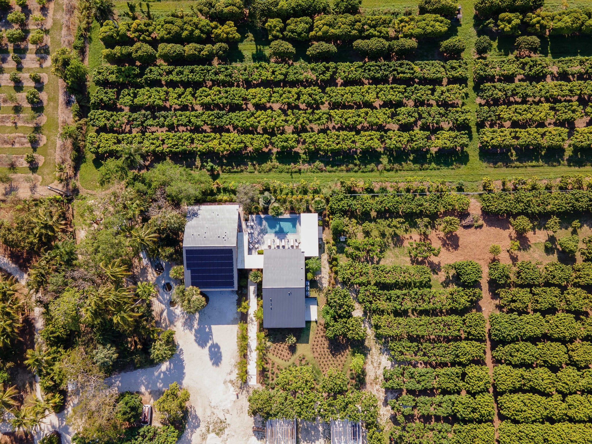 Miami Regenerative Navigating the Local Luxury Beauty Market